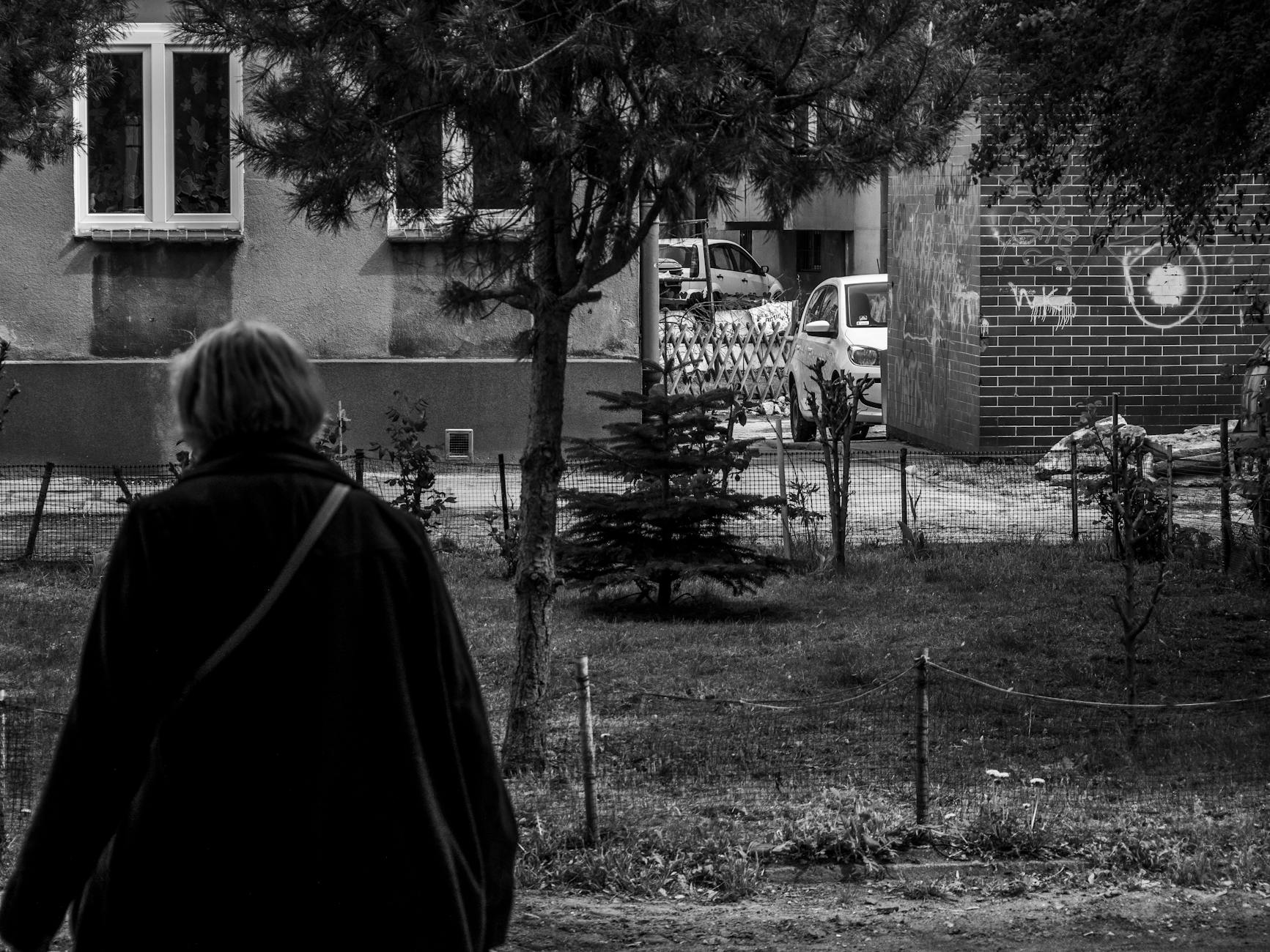 Malowniczy widok na jezioro Chełmżyńskie z panoramą miasta w tle